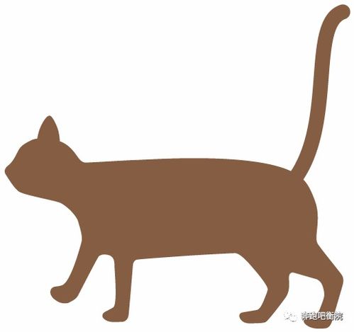 平面設(shè)計 視覺語言的魔法與藝術(shù)